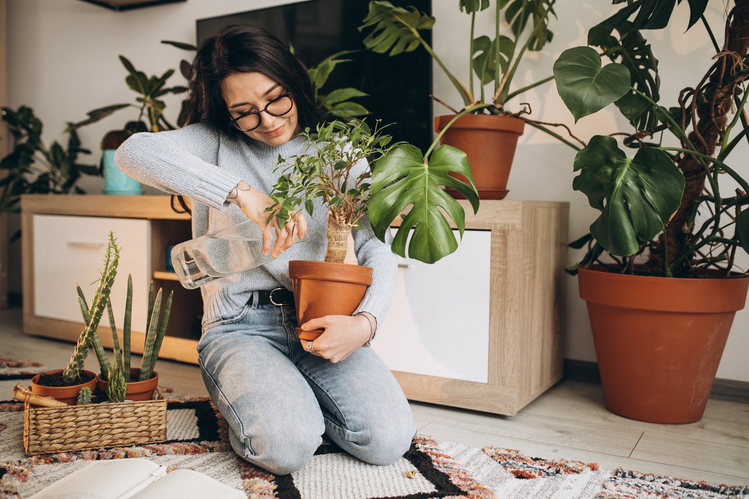 Plantas dentro de casa podem agravar alergias? Veja os cuidados na primavera